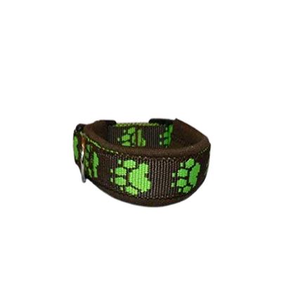 Dog Collar, Paw Patterned Webbing
