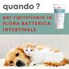Dolfos Probiotic Paste for Dogs and Cats – Gut Flora Support view 2