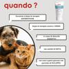 Dolfos Probiotic Paste for Dogs and Cats – Gut Flora Support view 3
