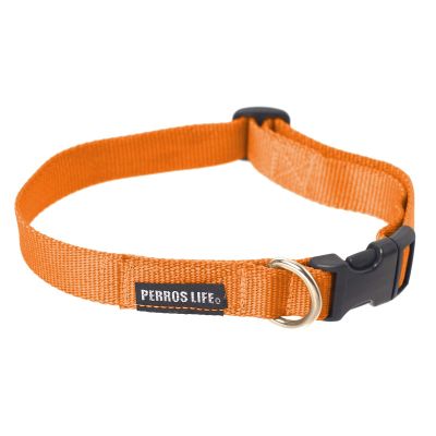 PERROS LIFE Adjustable Dog Collar CR15, 27–39 cm, Bolognese, Pekingese, Jack Russell