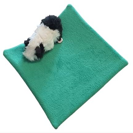Lazzyys Pee Pad for Guinea Pigs & Small Pets, Approx. 30 × 30 cm, Handmade in Germany