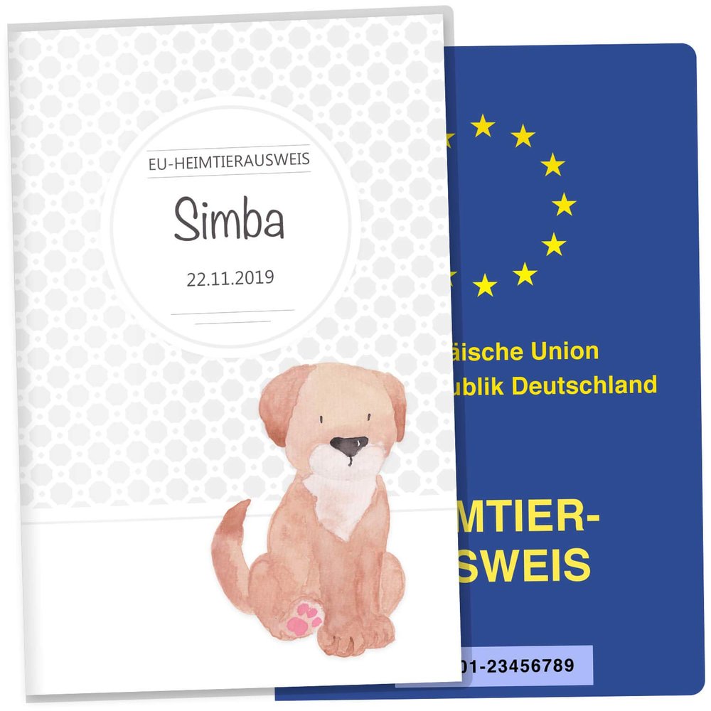 Personalized EU Pet Passport Holder