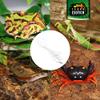 Terra Exotica Euro Plug with Switch 1.8 m (Power Cable) - Various Colors (White) view 4
