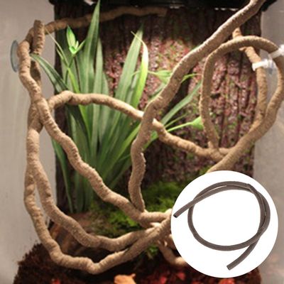 Yanhonin Decor Terrarium