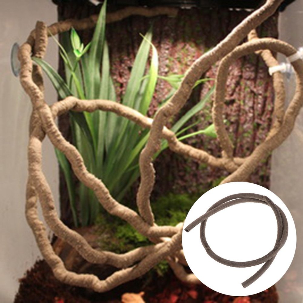 Yanhonin Decor Terrarium