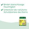 cdVet Diarrhea Stop for Dogs and Cats, 50 g – Support for Acute Gastrointestinal Complaints view 3