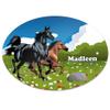 Eurofoto Door Sign with Name Madleen and Horse Motif for Girls view 1