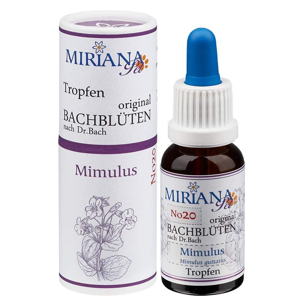 Bach Flower Remedy No. 20 Mimulus – 20 ml Essence – MirianaPet for Pets