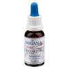 Bach Flower Remedy No. 20 Mimulus – 20 ml Essence – MirianaPet for Pets view 3