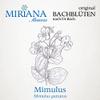 Bach Flower Remedy No. 20 Mimulus – 20 ml Essence – MirianaPet for Pets view 4