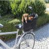 TRIXIE Long Bicycle Basket for Dogs up to 8 kg, 29 × 49 × 60 cm view 3