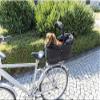 TRIXIE Long Bicycle Basket for Dogs up to 8 kg, 29 × 49 × 60 cm view 4