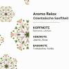 MAISON BERGER Lampe Berger Aroma Relax Douceur Orientale Refill view 2