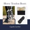 LeMieux Capella Comfort Horse Boots, Black, Cob view 4