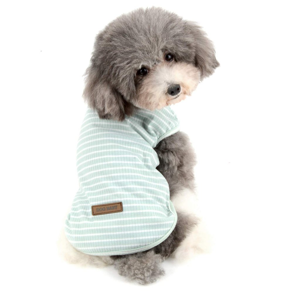 Ranphy Striped Pet Shirt, Cotton, for Small Dogs, Size XXL, Green