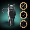 SHEBA Cat Snacks - 18x12g - Assorted Flavors view 2
