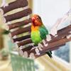 Danigrefinb Parrot Toy view 2