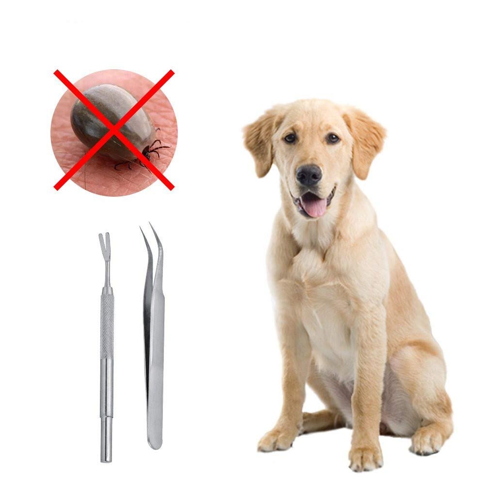 SOULONG Tick Removal Tool, 2 Pieces, Stainless Steel for Dogs and Cats