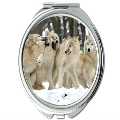 YENDOSTEEN Round Pocket Mirror, Animal Wolf Girls, 1X/2X Magnification