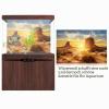 Sun and Desert Style Aquarium Background Poster, Thick PVC, Self-Adhesive, 61 × 41 cm view 3