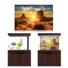 Sun and Desert Style Aquarium Background Poster, Thick PVC, Self-Adhesive, 61 × 41 cm view 4