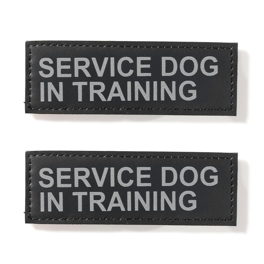 EXCELLENT ELITE SPANKER 2-Pack Magic Sticker Service Dog in Training