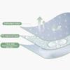 Portable Waterproof Washable Cotton Changing Pad, 60 x 80 cm view 3