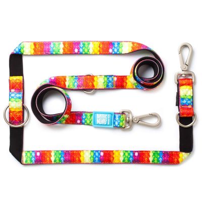 Max & Molly Multifunctional Dog Leash, M, Jelly Bears