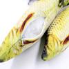 MoonyLi Catnip Fish Toy for Cats view 3