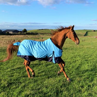Horse Blanket, 600D, Lightweight, Waterproof, 100 g