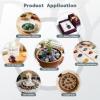 KYEYGWO 1-Pound Tumbled Stones for Decoration, Energy Crystal Healing for Wicca and Reiki view 4