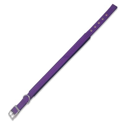 Arquivet 17640 Collar, Nylon, Purple, 1.5 x 38 cm
