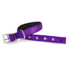 Arquivet 17640 Collar, Nylon, Purple, 1.5 x 38 cm view 2