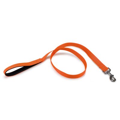 Arquivet 17628 Dog Leash, Nylon, Orange, 1.5 x 120 cm