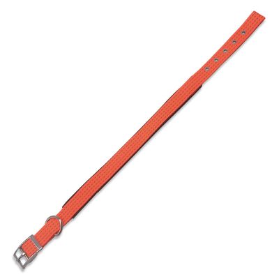 Arquivet 17633 Collar, Nylon, Orange, 2.5 x 53 cm