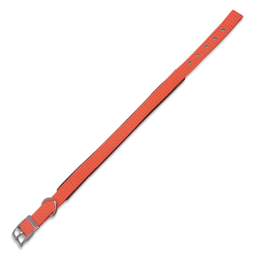 Arquivet 17633 Collar, Nylon, Orange, 2.5 x 53 cm