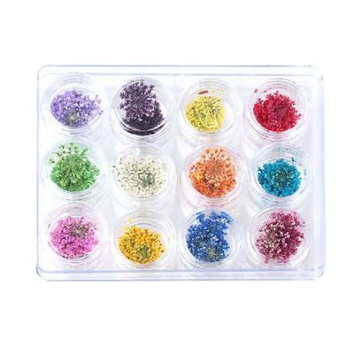 12-Color Set Mixed Dried Flower Nail Art Stickers