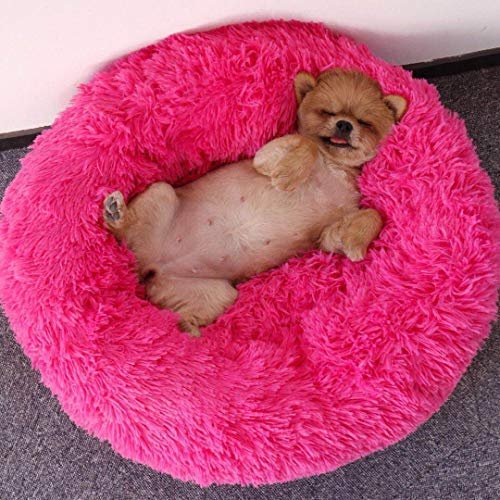 Maran Cozy Washable Pet Bed with Cushion, Rose Red, 50 × 50 × 20 cm