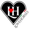 LOVEHORSES Fly Protection for Horses, Made in Italy, Standard 100 by OEKO-TEX Certified Mesh, Lilac, Medium/Cob view 4