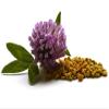 REMMELE's Propolis Solution, 10 ml view 2