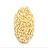 Yupik Grilled Pearl Couscous, 1 kg, Canadian, Vegan, Kosher, Cholesterol-Free, Sodium-Free view 2