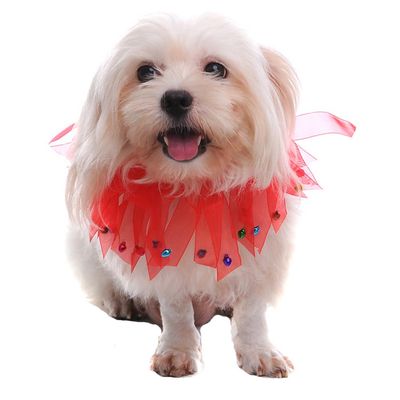 Dreamls Dog Collar