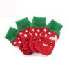 Dreamls Dog Socks - Halloween & Winter Warmth view 2