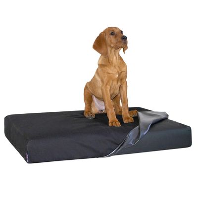 tierlando Quick-Cover Medic Mattress Protector Maddox | Donald | Floyd | Alberto | Clifford | Melody (Size S, 55 x 38 cm Mattress, 03 Black)