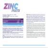 Allnutrition Zinc Forte - 120 Tablets, 200 g view 2