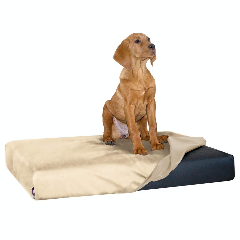 tierlando Quick-Cover Medic Carlos Mattress Protector, Size M, 80 x 60 cm, Cream
