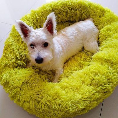 Warm, Calming Round Dog Bed, Green, 50 cm