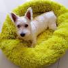 Warm, Calming Round Dog Bed, Green, 50 cm view 1