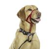 Dog Halter for Pets, Easy to Use, Strong Nylon Fabric, Red, 1 Piece view 3