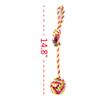 Dog Toy Set for Puppies and Small to Medium Dogs, 4 Pieces view 2